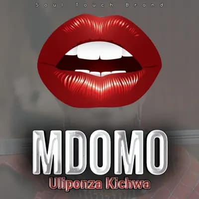Soul Touch Brand – MDOMO ULIPONZA KICHWA