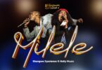 Shangwe Xperience Ft. Nelly Music - Milele