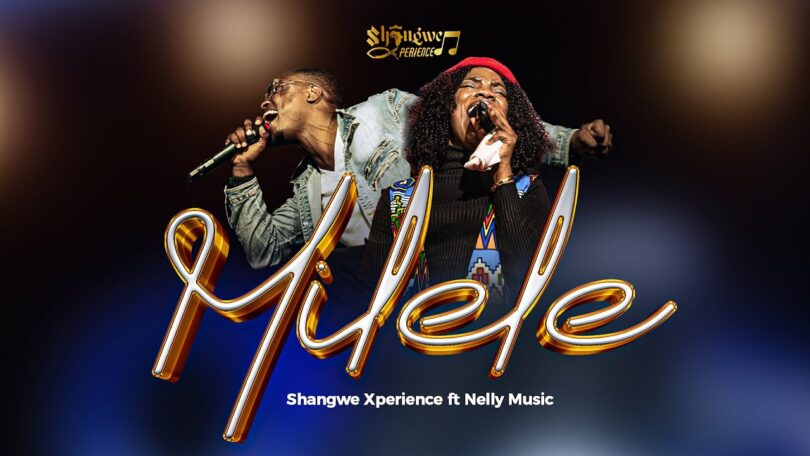 Shangwe Xperience Ft. Nelly Music - Milele