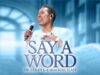 Dr. Sarah K & Shachah Team – Say A Word Dr. Sarah K & Shachah Team – Say A Word