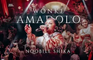 Nqobile Shika – Wonke Amadolo